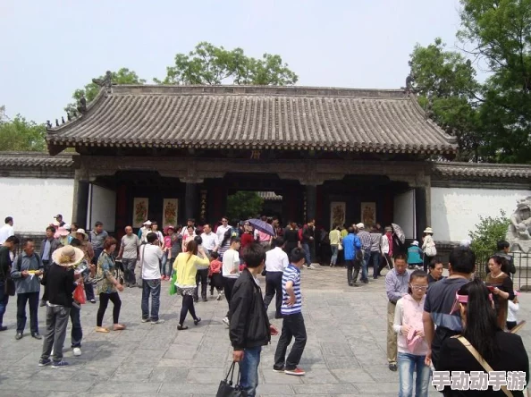 1377人文艺术表演最佳回答：对当代文化现象的深度解析与多元视角的综合探讨