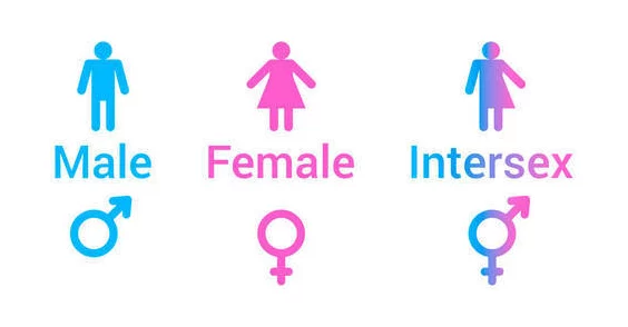 HD性妇女意大利：对女性性别角色与社会期望的影响研究及其在现代文化中的表现分析