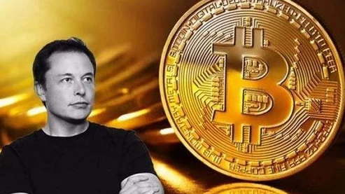 欧美掇BBBBBB掇BBBBBB：最新进展揭示了各方在这一领域的合作与挑战，未来发展备受关注