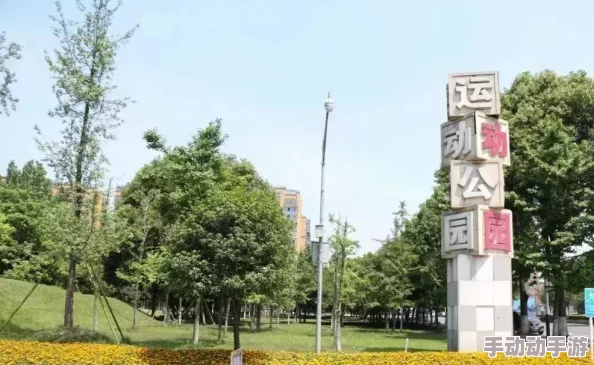 王者荣耀女生无小内无爱心轮滑图片有图有真相：分析游戏文化对青少年心理的影响与团队协作的重要性