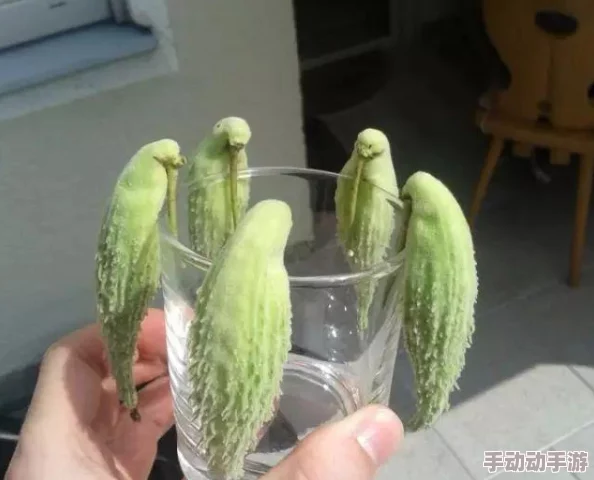 草莓丝瓜深夜释放自己的歌词含义和作用：解析歌曲中情感表达与自我解放的主题及其对听众的影响
