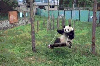 功夫熊猫手游：顶尖玩家必选天赋搭配策略与实战效果深度剖析