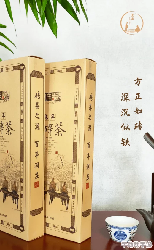 绝世小中医陈思雅：如何用传统中医智慧改善现代健康问题与生活方式的结合