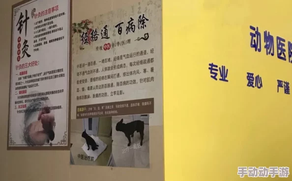 绝世小中医陈思雅：如何用传统中医智慧改善现代健康问题与生活方式的结合