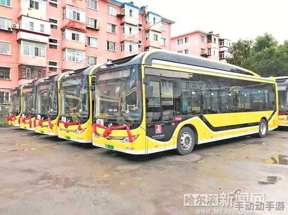 颠簸的公交车：在城市交通中，乘客们经历的不仅是行程，还有那一路上的颠簸与不便