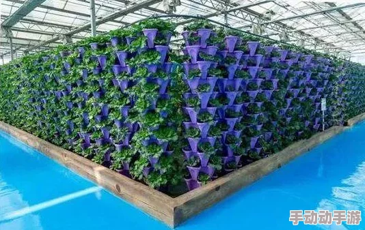 人与畜禽共姓行为的心理学：深入分析人类与动物之间的情感联系及其对心理健康的影响