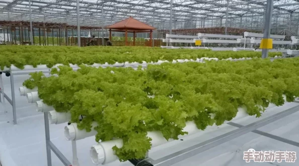 17c一起种草：全球首款超高科技植物种植设备即将上市，打造理想家园新革命！