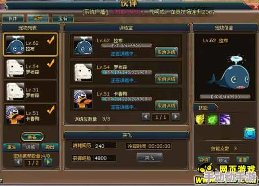 热血江湖手游萌新攻略：精选宠物搭配，解锁实战高效新伙伴推荐