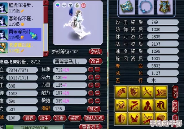 梦幻西游手游：全方位解析血宠与血敏宠打书策略，打造战场生存王者秘籍
