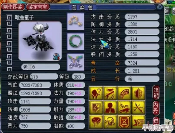 梦幻西游手游：全方位解析血宠与血敏宠打书策略，打造战场生存王者秘籍