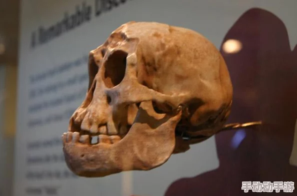 红桃视颏隐藏：震惊全球的惊人发现揭示了未知生物的秘密，科学界引发巨大争论！