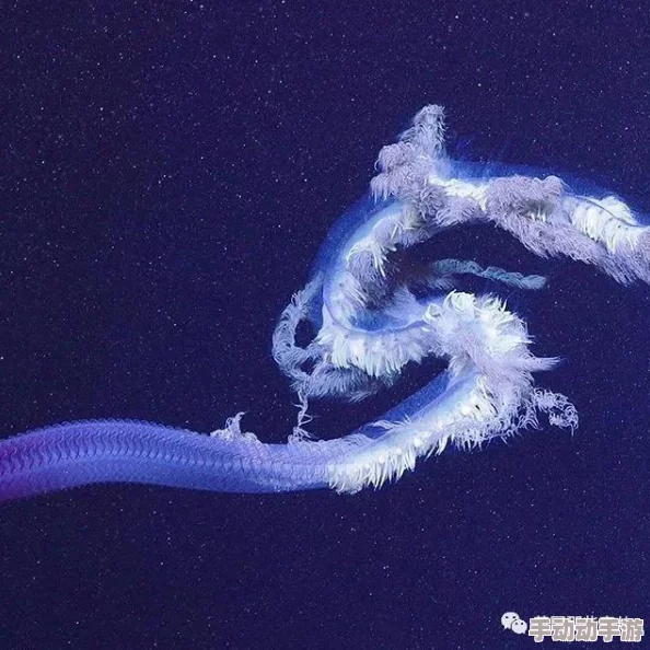 震惊！Pony九色蝌蚪意外发现新奇生物，揭示神秘生态系统的秘密，科学界轰动！