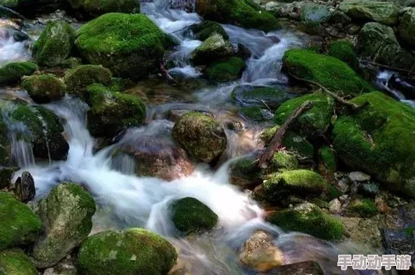 洞内泉淙淙洞外草萋萋，震惊发现百年古洞藏珍稀生物，科学家称其为“自然遗产”的无价之宝！