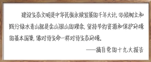 一个蝌蚪窝：了解蝌蚪的生长环境、生命周期及其在生态系统中的重要性和作用