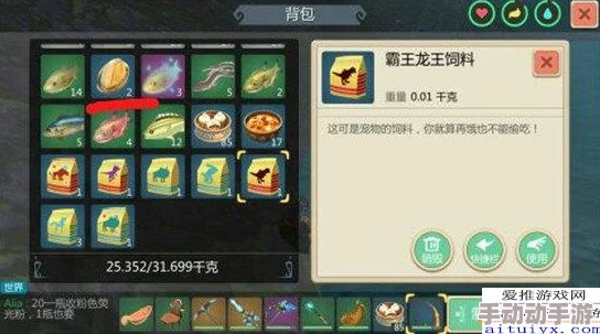探索创造与魔法世界：迦放2代独家制作秘籍及必备材料清单大公开