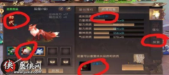 探索道途无垠：揭秘最强灵宠之选，究竟哪只宠物能助你独步天下？