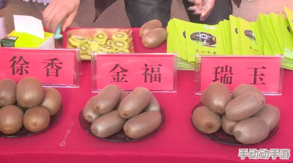 97亚洲一线产区和二线产区：分析各地区的市场潜力与发展趋势，助力投资决策与产业布局优化