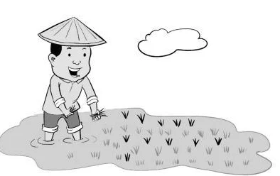 床上100种插秧方法简笔画：学习不同插秧技巧的简化图示及其在农业中的应用与影响