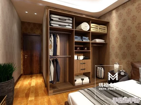 呐衣柜办公室1-6布鲁斯：网友热议设计实用性与美观性的完美结合，纷纷表示期待更多创新款式的推出