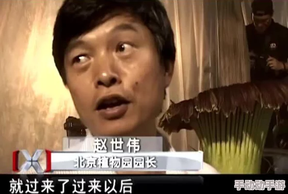 女尤正能量入口：震惊！某知名明星被曝隐藏隐秘黑幕，背后真相令人瞠目结舌！