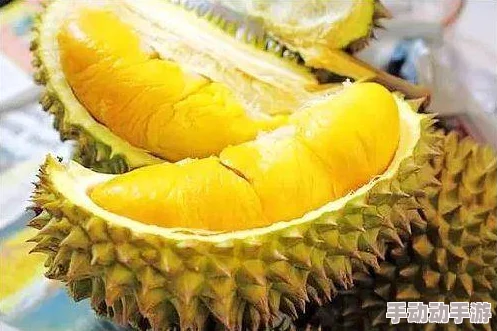榴莲视频成品人 在线观看：网友热议其内容丰富性与用户体验，是否值得一试？
