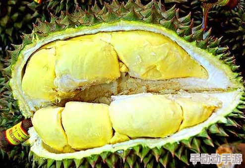 榴莲视频成品人 在线观看：网友热议其内容丰富性与用户体验，是否值得一试？