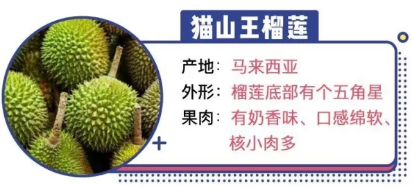 榴莲视频成品人 在线观看：网友热议其内容丰富性与用户体验，是否值得一试？