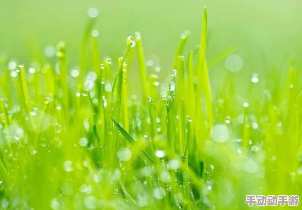 嫩草亚洲w和欧洲w的区别：令人震惊的文化差异引发热议，网友纷纷发表评论讨论！