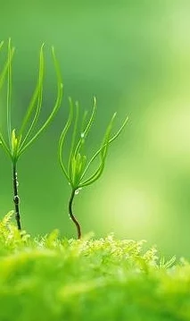 嫩草亚洲w和欧洲w的区别：令人震惊的文化差异引发热议，网友纷纷发表评论讨论！