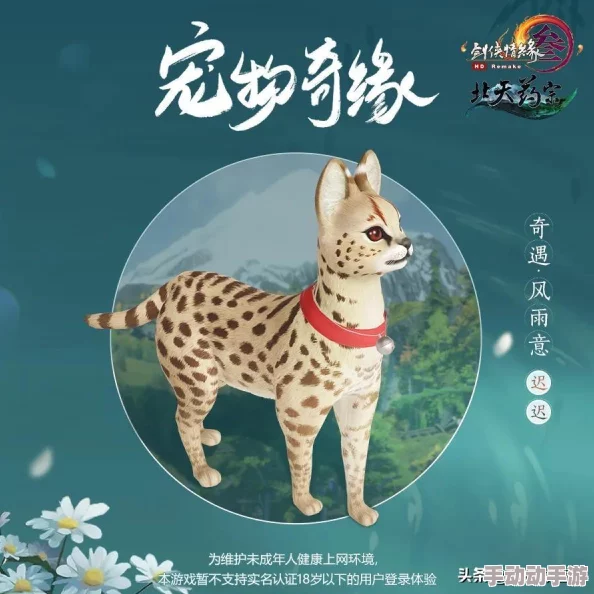 梦幻西游手游：萌宠奇缘，创意告白新风尚，让爱意随宠物传递非凡心意