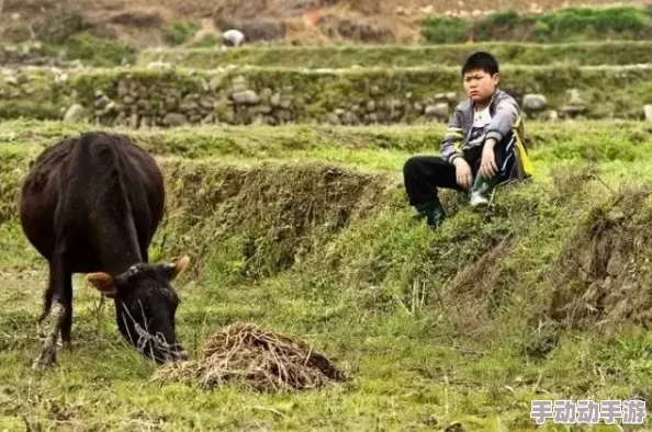 老牛嫩草AⅤ一区二区三区：震惊！这一事件引发全民热议，网友直呼无法接受，背后真相令人心碎！