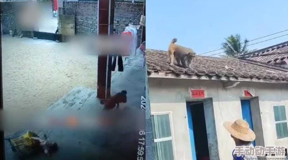 震惊！男生女生一起努力生猴子不盖被子动漫发布引发热议，网友纷纷表示无法理解！