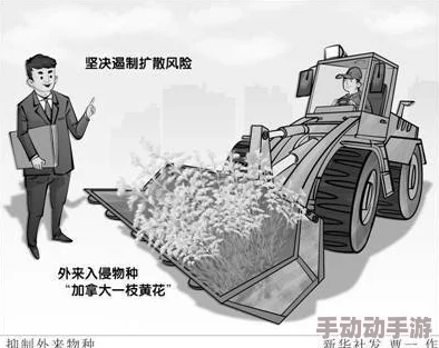 缅北变太网惊爆：大量违规信息曝光，网络安全引发社会广泛关注！
