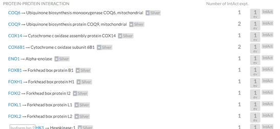 ZOOM兽mt77py：深入分析其在网络安全中的影响与应用前景的研究