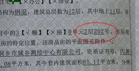 一区二区精品＂背后竟藏着这些不为人知的秘密，业内人士曝出惊人内幕，引发热议与关注！