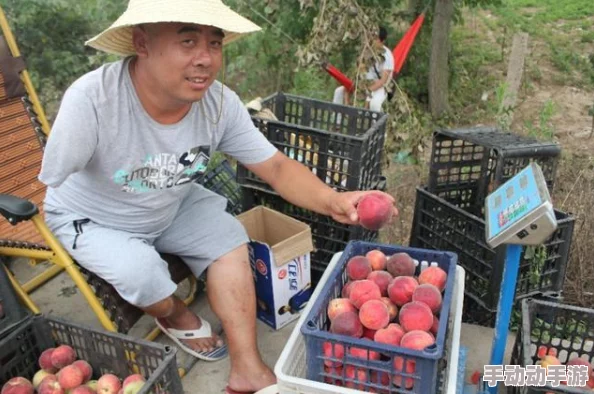 滕白桃羽震撼登场，果农们纷纷抢购，市场需求暴涨引发价格狂潮，秋季果品新时代开启！