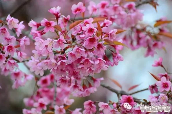 色花堂国产精品第二页：震惊！全新系列上线，竟然引发了网友们的热烈讨论与疯狂追捧！