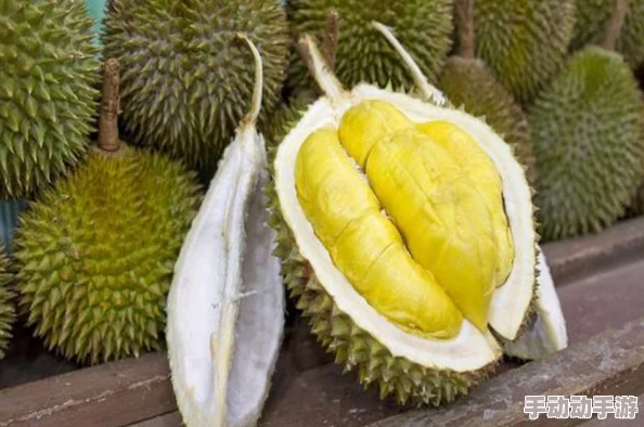 榴莲视频免费下载：网友热议其内容丰富性与使用便捷性，是否值得一试？