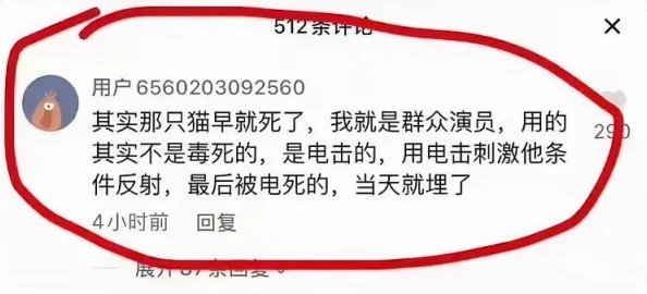 樱桃视频app在线 18：不可思议！用户数据泄露事件曝光，百万用户信息危在旦夕！