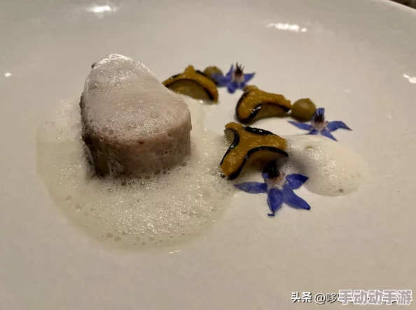 最好看的日本电影免费：2023年最新推荐与观影指南，畅享经典与新作的视觉盛宴