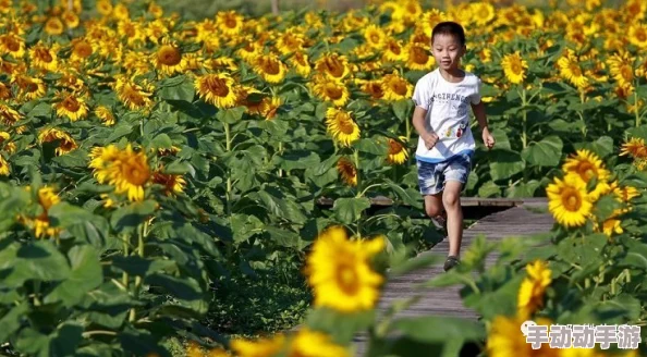 让我欣赏一下你的小森林＂：罕见奇花异草现身，吸引游客争相前来打卡！