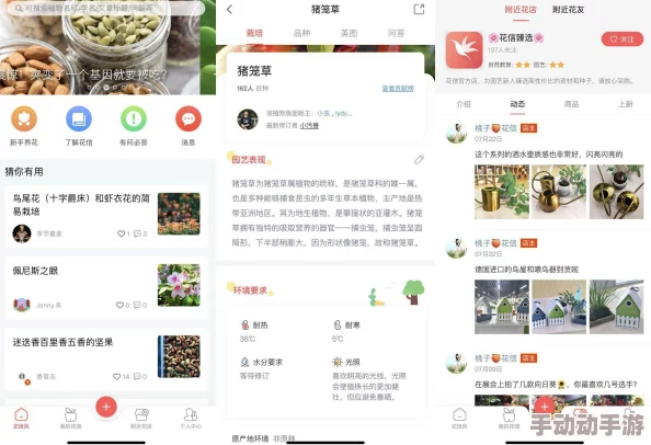 十八模APP：一款集个性化社交、趣味短视频和在线学习于一体的创新型应用程序