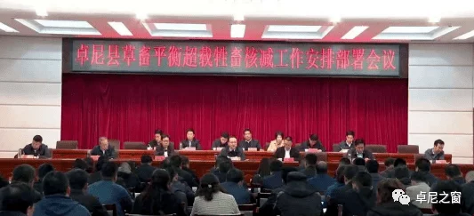 一个添下面p一个添上面P：如何在现代生活中平衡工作与家庭的挑战与机遇