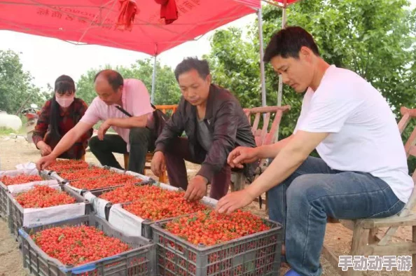 樱桃网：探索樱桃产业链的发展与种植技巧，助力农民致富的理想平台与电商新机遇