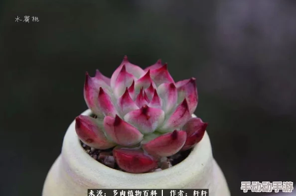 宝贝你湿透了我帮你添，竟然引发全网热议，网友们纷纷表示无法接受这一行为！