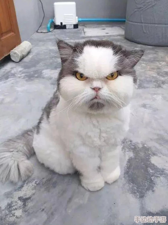 震惊！哑剧猫动画拔萝卜在哪一集竟成网友热议的焦点，引发观众强烈讨论和关注！