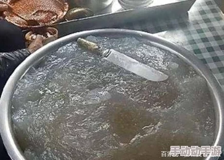 下水道炖肉任务怎么做：详细解析如何完成游戏中的这一独特挑战，获取丰厚奖励与成就