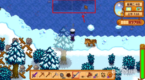 星露谷物语全面解析：冬日谜团挑战与攻略指南