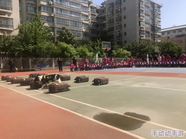 两个被脱裤子的小男生视频引发热议，网友纷纷讨论校园安全与教育问题，呼吁加强对孩子的保护措施