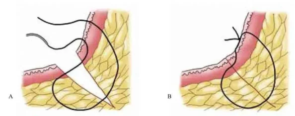 《英雄无敌3》全面揭秘：秘籍种类与详细使用介绍指南